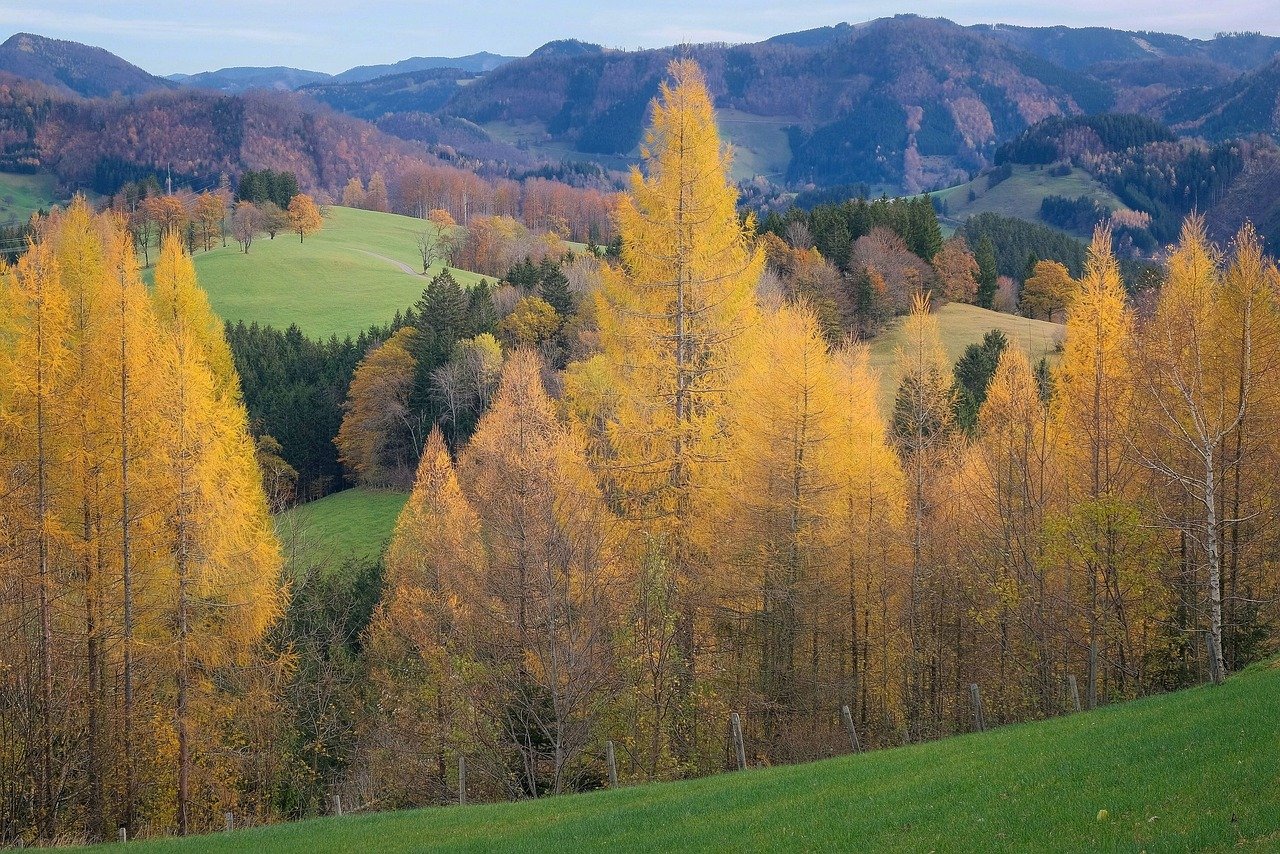 Wandern und Radfahren in Herford